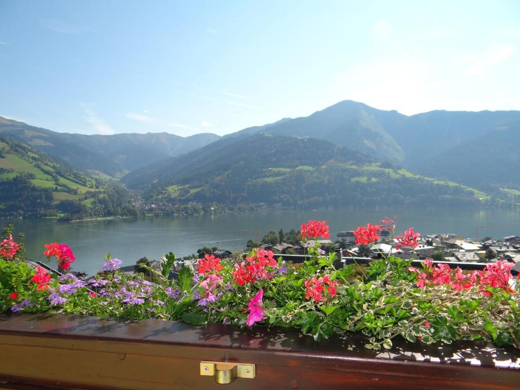 Appartement Haus Sonnenheim เซลล์อัมเซ ภายนอก รูปภาพ